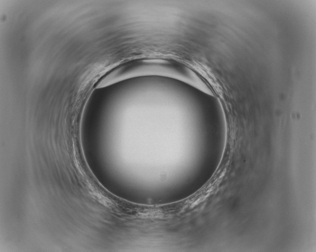 X0000089930097200706291208