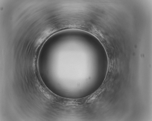 X0000089930098200706291208