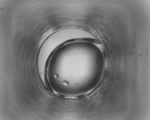 X0000089930099200706291208