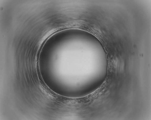 X0000089930100200706291208