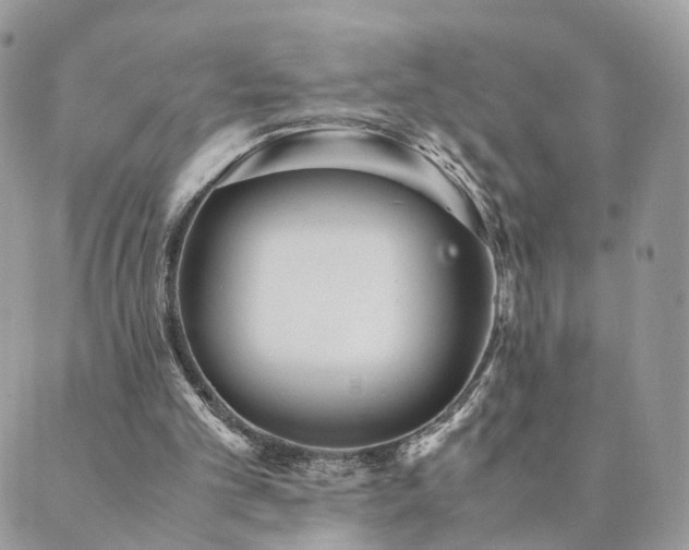 X0000089930101200706291207