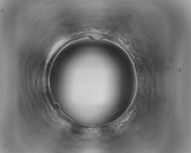 X0000089930102200706291207