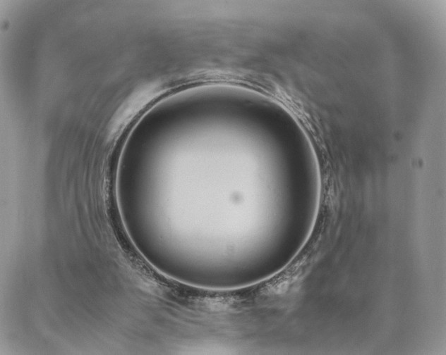 X0000089930103200706291207