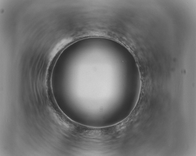 X0000089930104200706291207