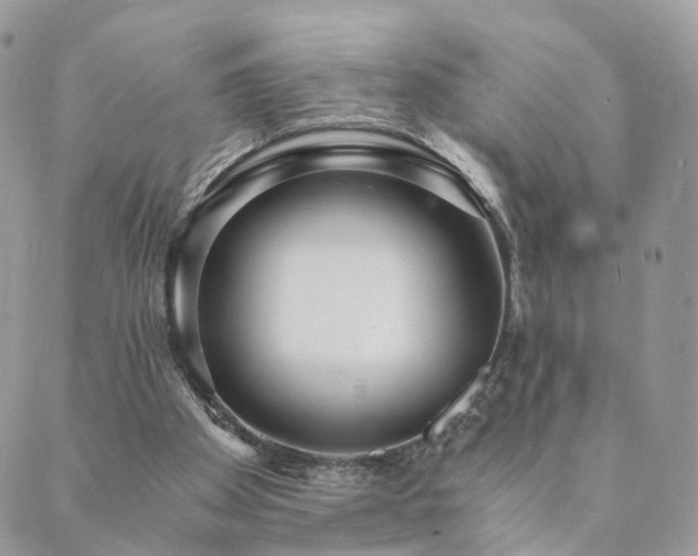 X0000089930105200706291207