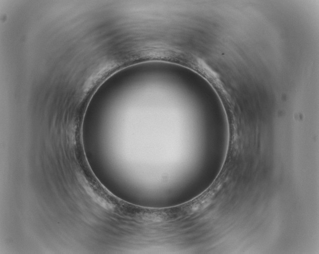 X0000089930106200706291207