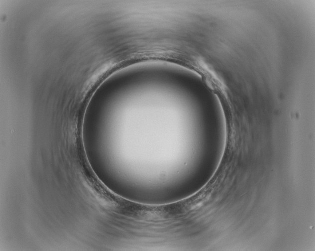 X0000089930107200706291207