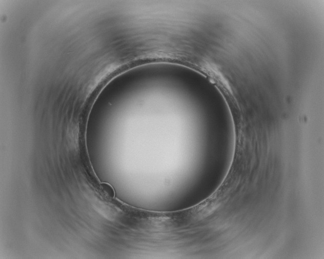 X0000089930108200706291207