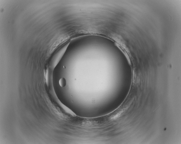 X0000089930109200706291207