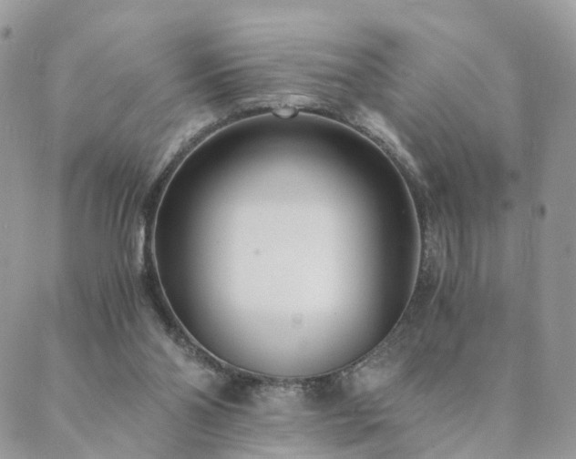 X0000089930110200706291207