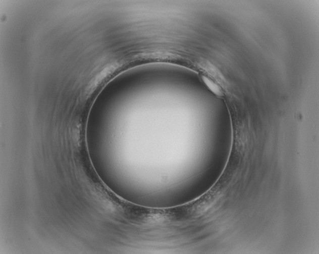 X0000089930111200706291207