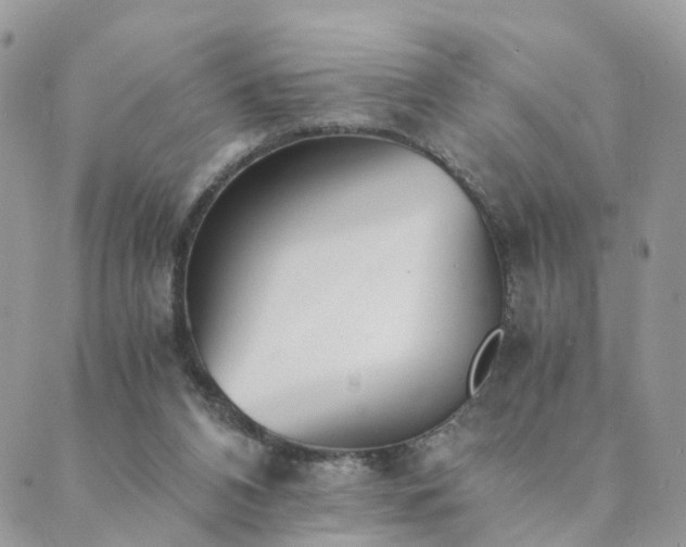 X0000089930112200706291207