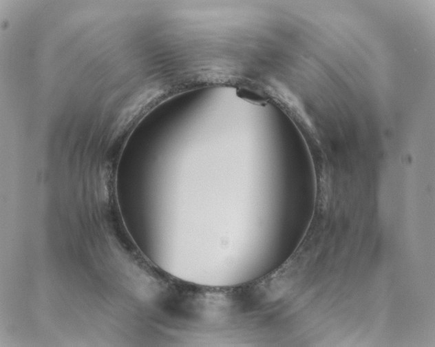 X0000089930114200706291207