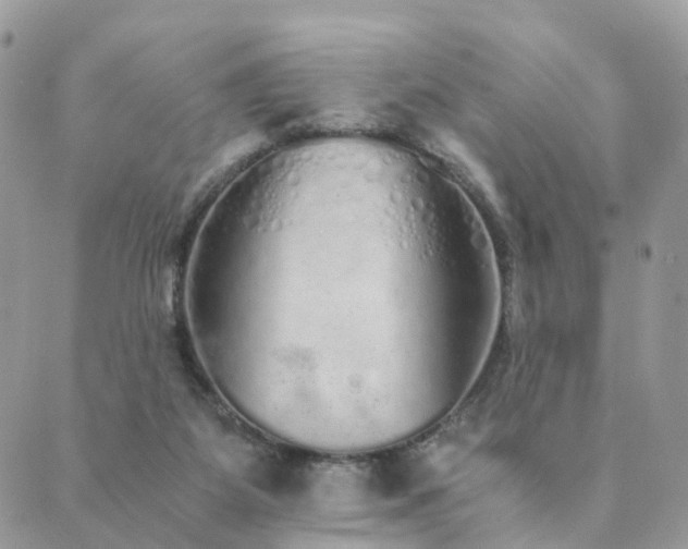 X0000089930115200706291207