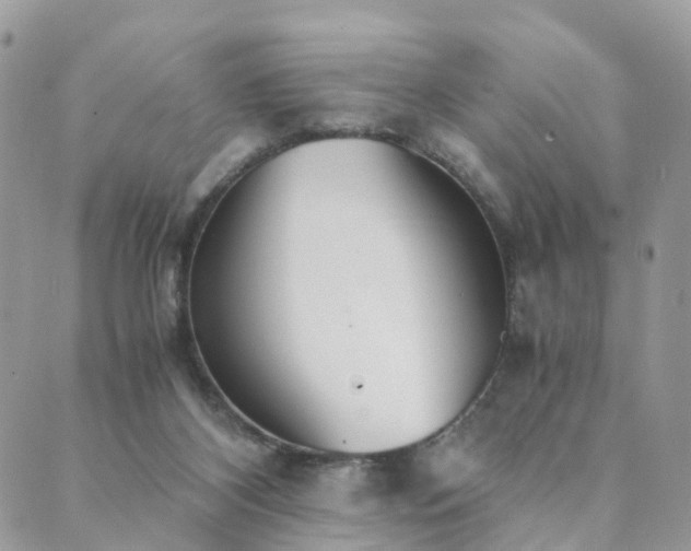 X0000089930116200706291207