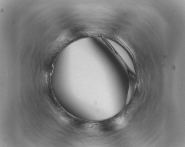 X0000089930117200706291207