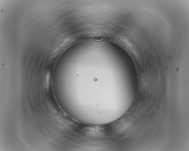 X0000089930118200706291207