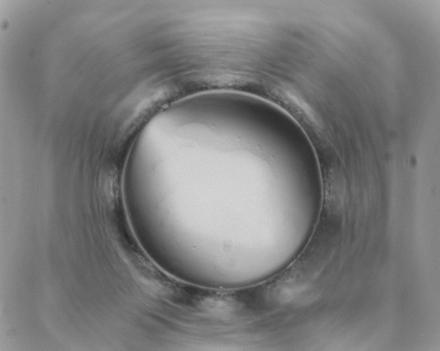 X0000089930119200706291207