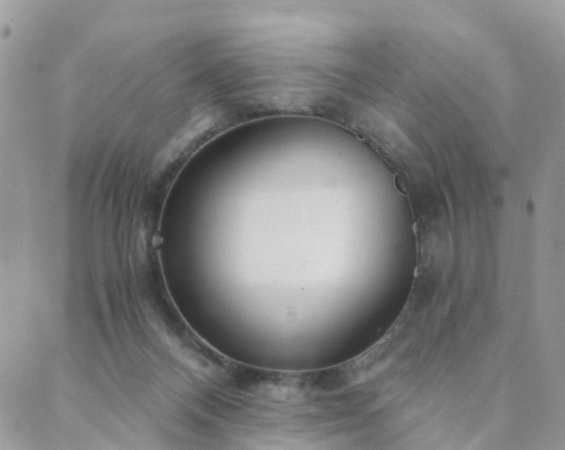 X0000089930120200706291207