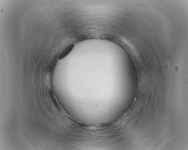 X0000089930121200706291207