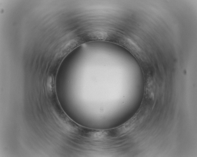 X0000089930122200706291207