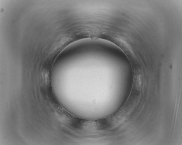 X0000089930123200706291207