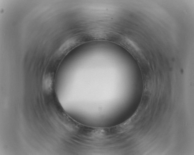 X0000089930124200706291207