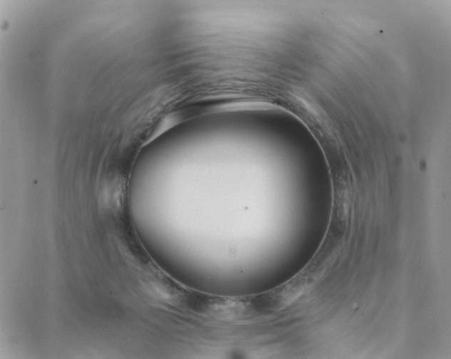 X0000089930125200706291207