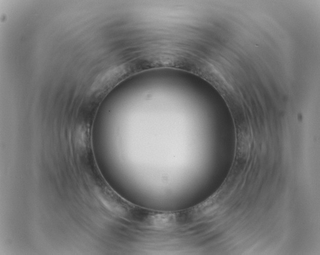 X0000089930126200706291207