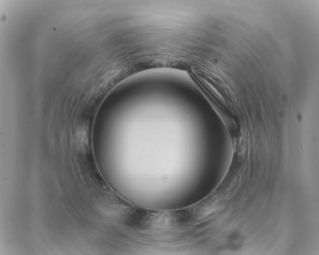 X0000089930127200706291207