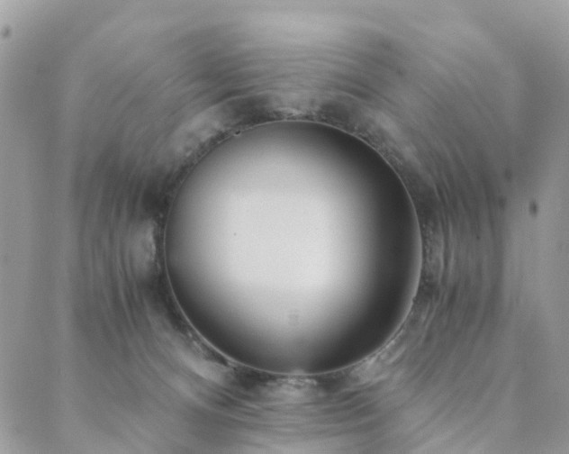 X0000089930128200706291207