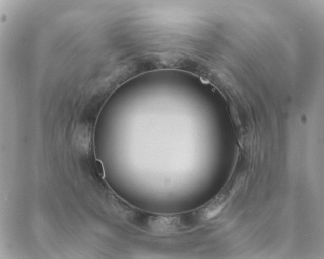 X0000089930129200706291207