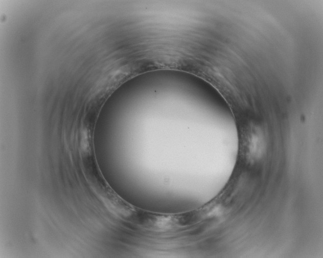 X0000089930130200706291207