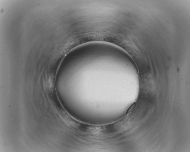 X0000089930131200706291207