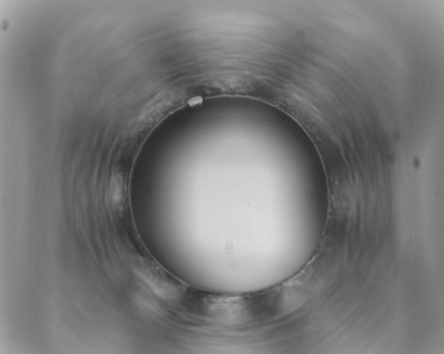 X0000089930132200706291207