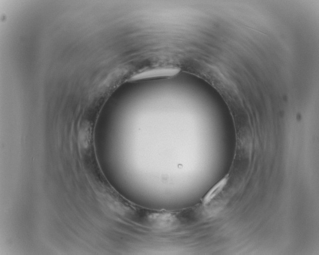 X0000089930133200706291207