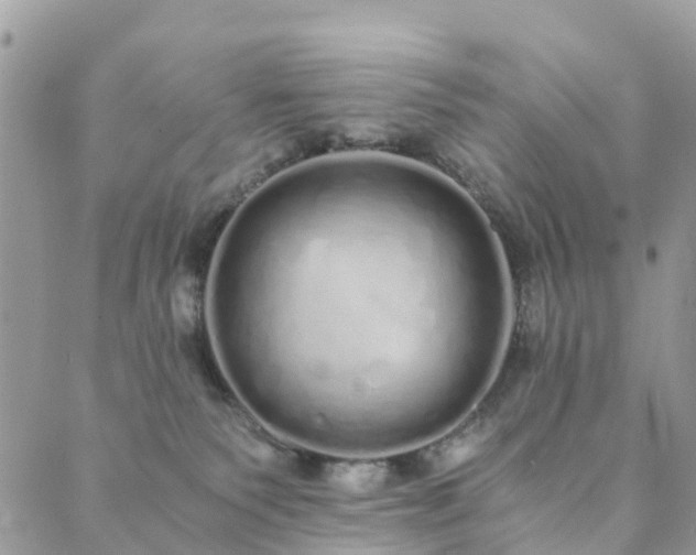 X0000089930135200706291207