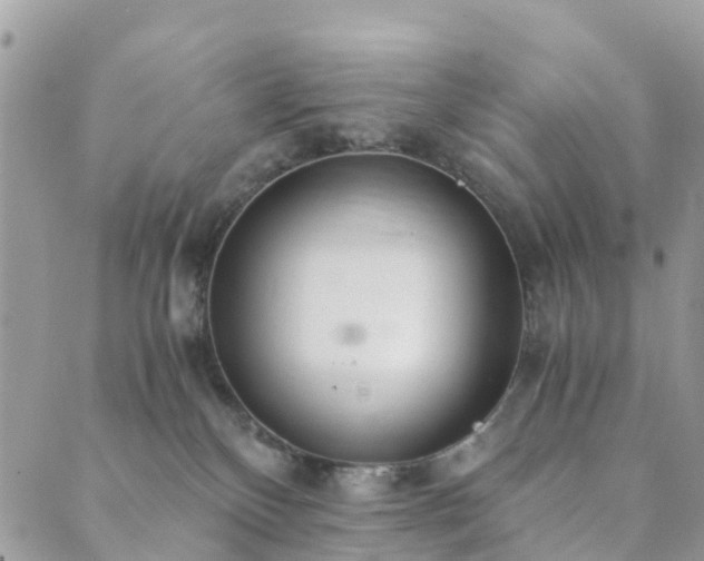 X0000089930136200706291207