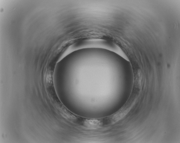 X0000089930137200706291207