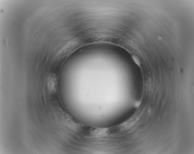 X0000089930138200706291207