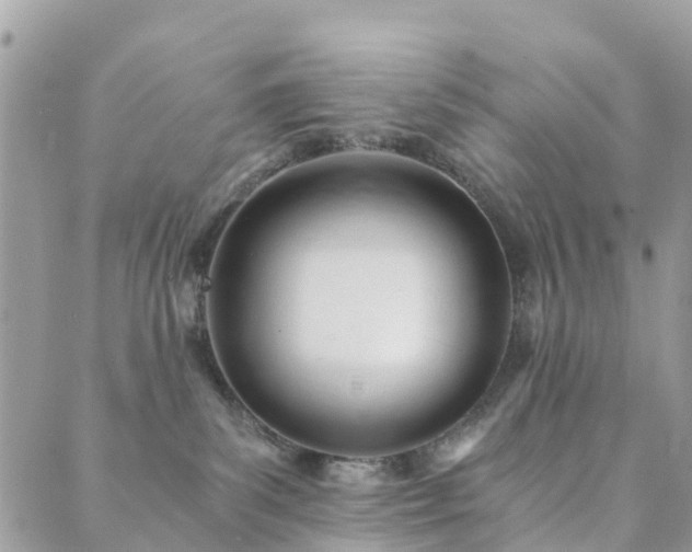 X0000089930139200706291207