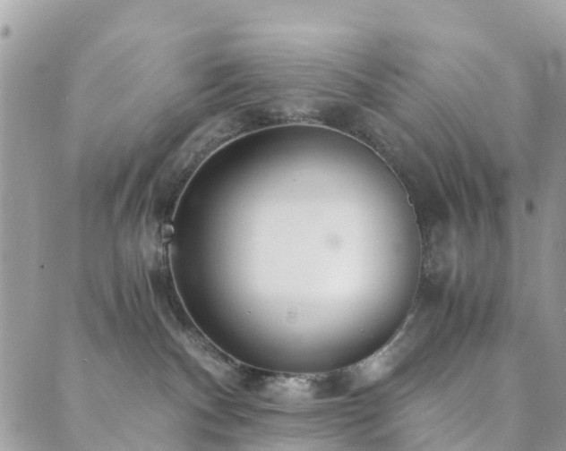 X0000089930140200706291207