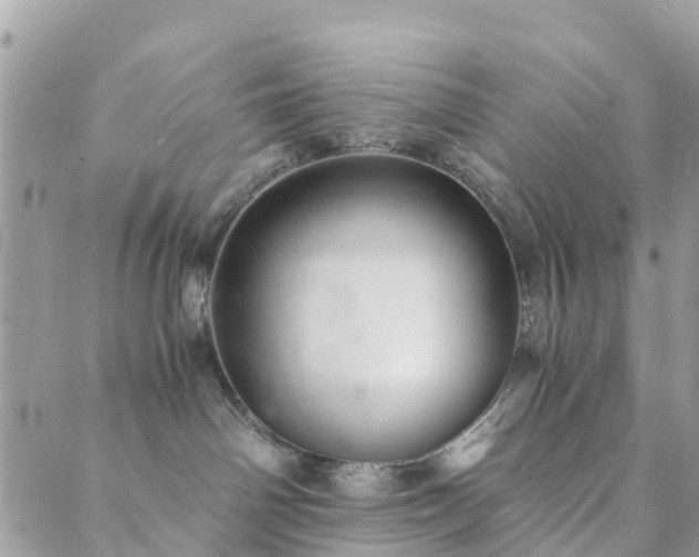 X0000089930142200706291207