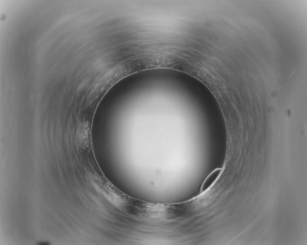 X0000089930144200706291207