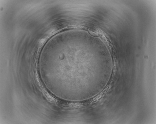 X0000089930145200706291206