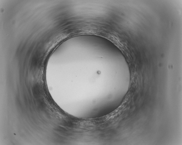 X0000089930146200706291206