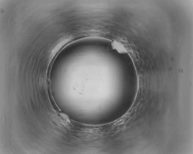 X0000089930147200706291206