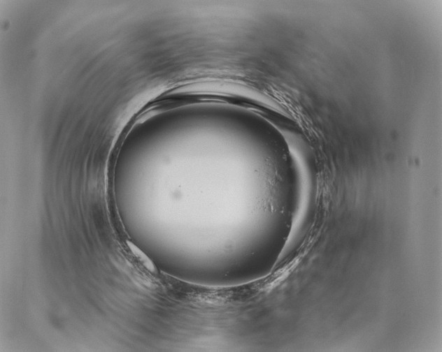 X0000089930148200706291206