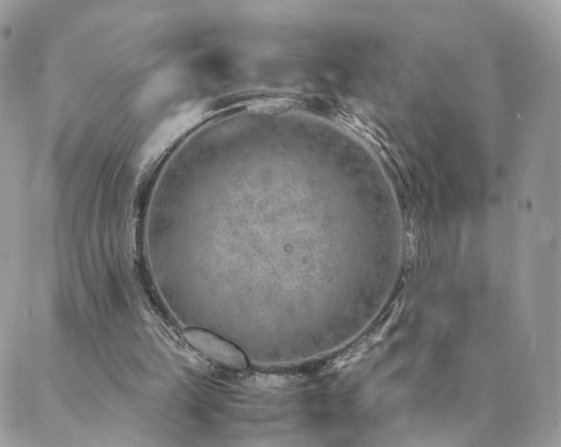 X0000089930149200706291206