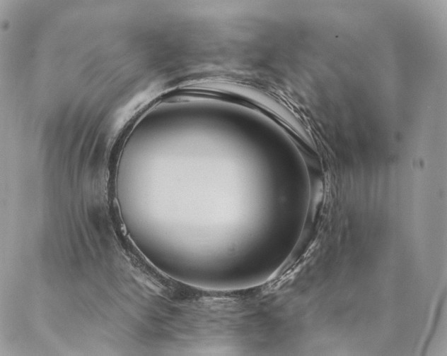 X0000089930150200706291206